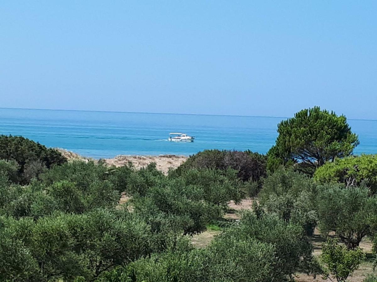 Ktima βilioni * Ζαχάρω
