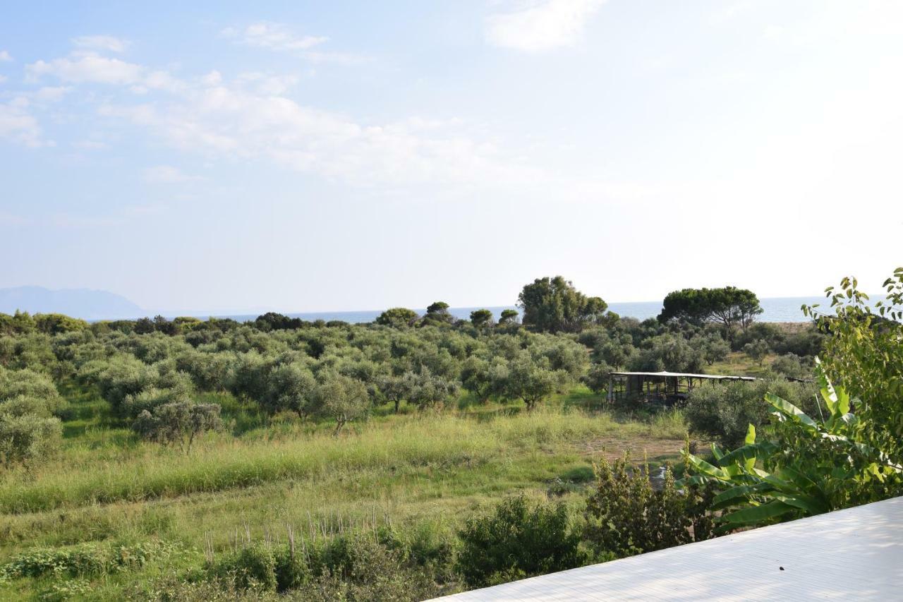 Ktima βilioni